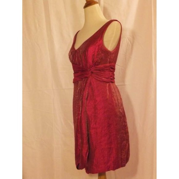 Max & Cleo BCBG Max Azria Bubble Hem Shimmer Dress 6 NEW - Picture 8 of 11